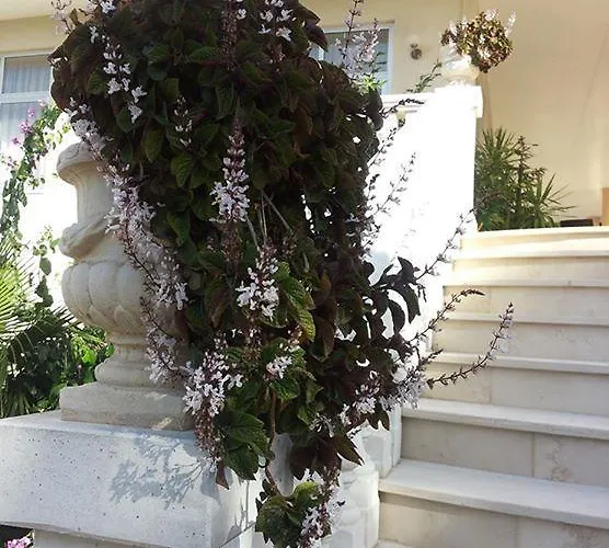 普特维尔德酒店 诺西