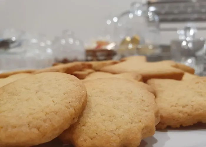 Punto מלון נוצ'י